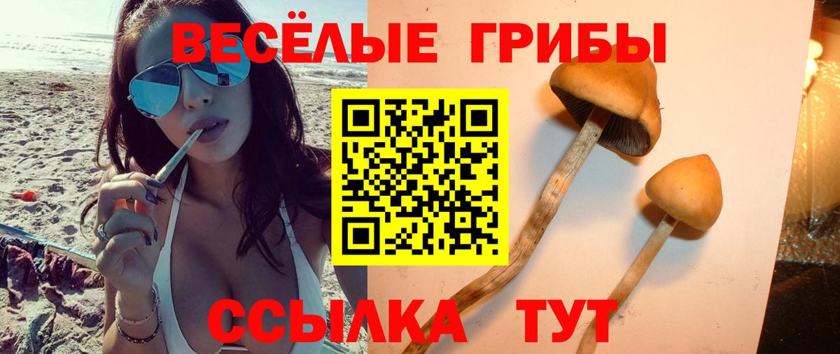 Псилоцибиновые грибы ЛСД Аргун